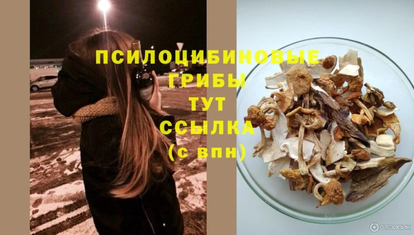 МДМА Арсеньев
