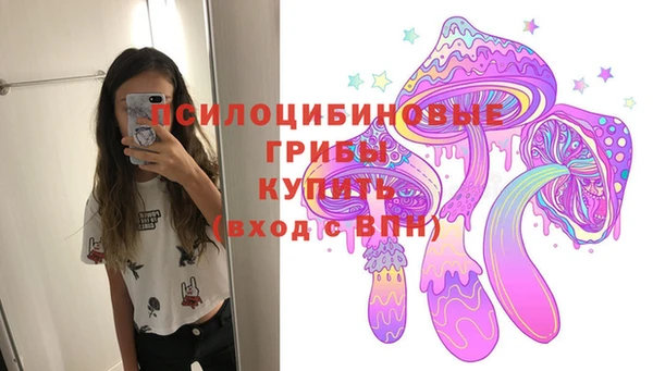 a pvp Армянск