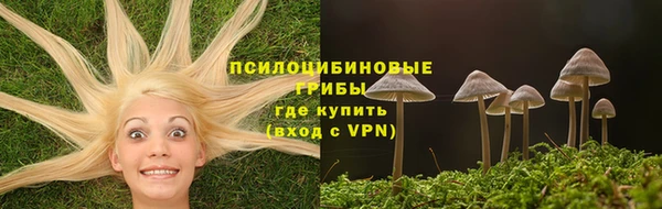 a pvp Армянск